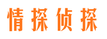 浮梁婚外情调查取证